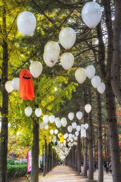 Güney Kore 'deki Nami Adası' nda cadılar bayramı süslemeleri ve asma lambalarıyla Orta Kore çam ağacı yolu. - Fotoğraf, Görsel