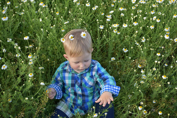 het kind zit in het gras - Foto, afbeelding