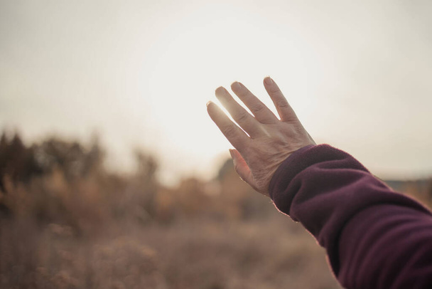 Доросла сенора рука жінки досягає яскравого сонячного світла під час заходу сонця
 - Фото, зображення