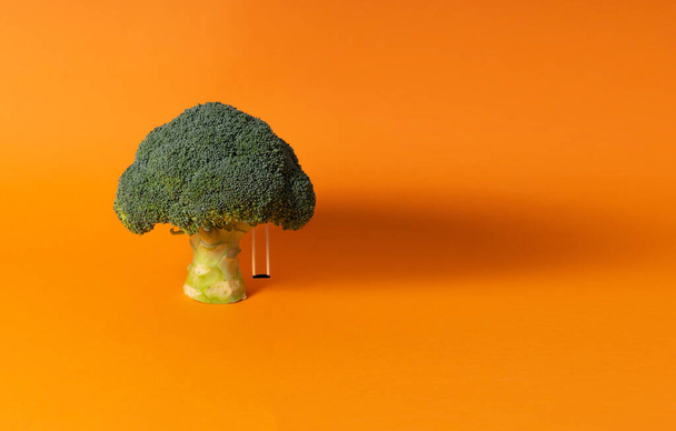 A green broccoli as a tree with a miniature swing hanging on it on an orange background - Fotoğraf, Görsel