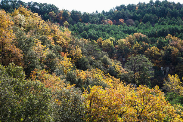 Jesień w Sierra de Prades, Tarragona. Katalonia - Zdjęcie, obraz