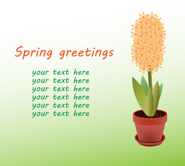 Fresh flowers orange hyacinths. Greetings card - Vector, Image