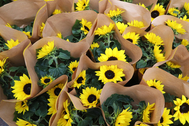 Taustaa auringonkukat kelluva kukka markkinoilla Amstedam - Valokuva, kuva