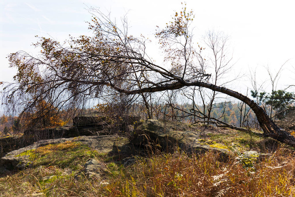 Bellissimo autunno Natura e paesaggio nelle montagne di arenaria nel nord della Boemia, Arenaria dell'Elba, Area Paesaggistica protetta, Repubblica Ceca - Foto, immagini