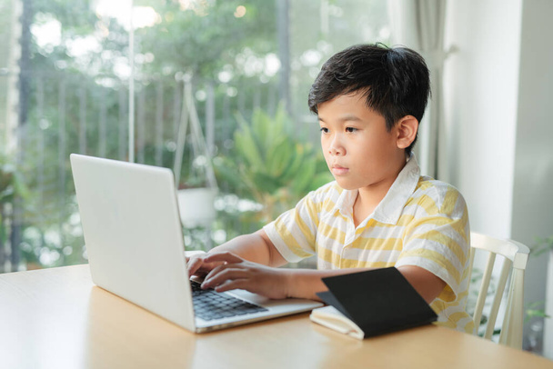 Homeschooling and distance learning for children - 写真・画像