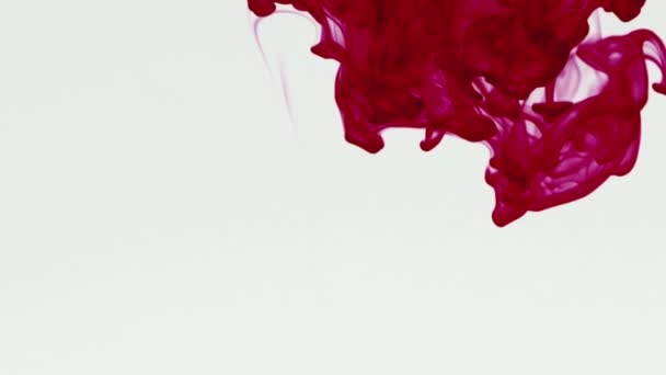 Lassított felvétel vörös folyadékról, ami fehér háttérrel folyik a vízbe. Piros pigment tinta víz robbanás felülről fehér háttér. - Felvétel, videó