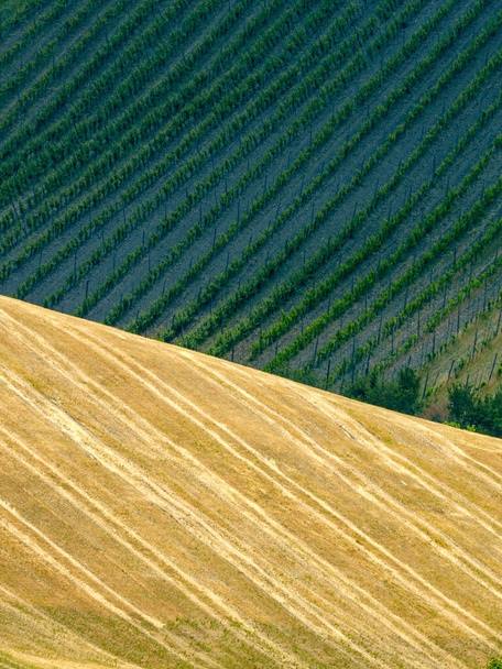 Krajina na kopcích v provincii Ravenna, Emilia-Romagna, Itálie, v blízkosti Riolo Terme a Brisighella, na jaře - Fotografie, Obrázek