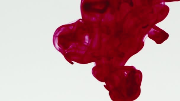 Lassított felvétel vörös folyadékról, ami fehér háttérrel folyik a vízbe. Piros pigment tinta víz robbanás felülről fehér háttér. - Felvétel, videó