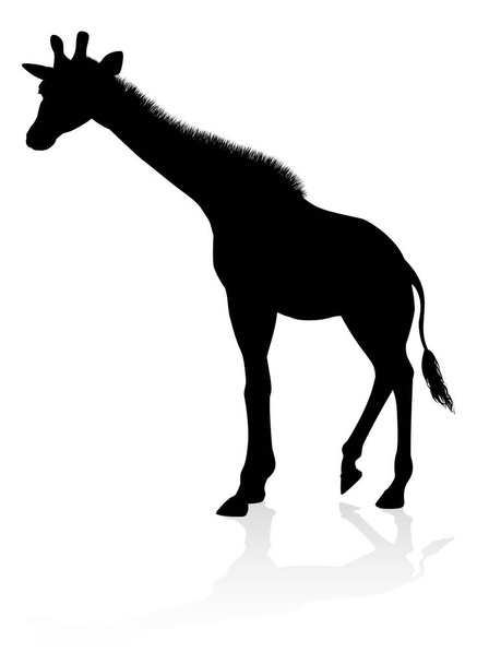 Giraffe Safari Animal Silhouette - Vector, afbeelding