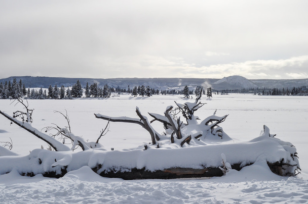 Yellowstone télen - Fotó, kép