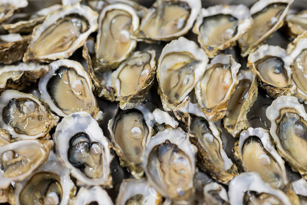 raw sea oysters food covered in shells - Фото, изображение
