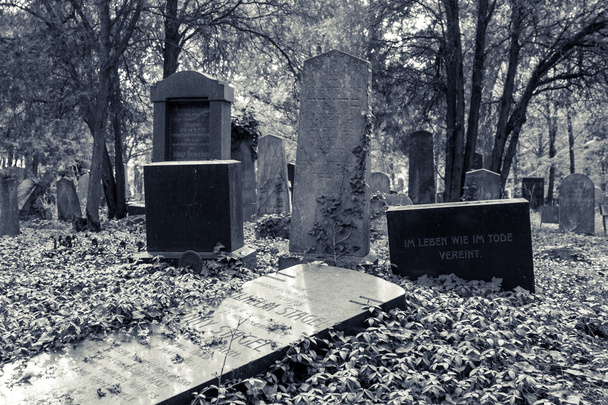 Kouzelný hřbitov - Fotografie, Obrázek