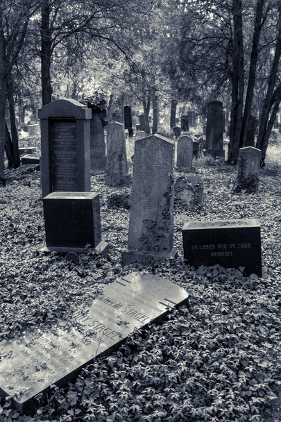 Enchanted begraafplaats - Foto, afbeelding