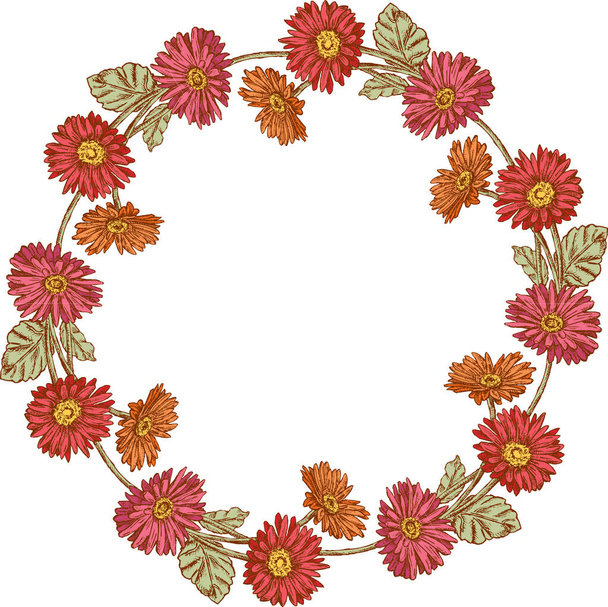 Vector image of decorative floral wreath from drawn garden red gerberas - Wektor, obraz