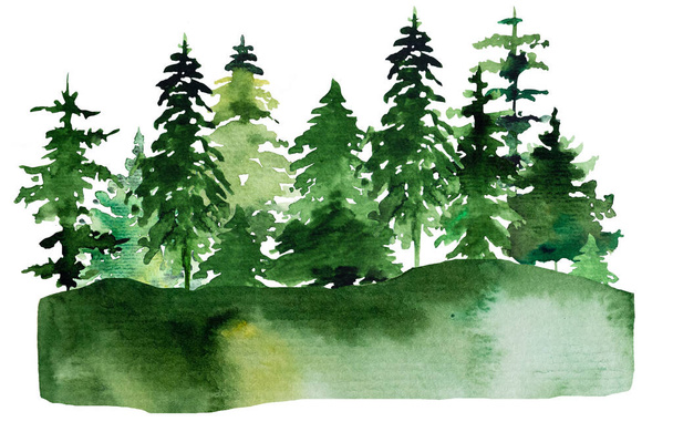 Winter Christmas Watercolor with green coniferous trees landscape isolated - Photo, Image