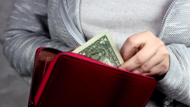Λευκή γυναίκα κρατάει μια τσάντα και μετράει χαρτονομίσματα του δολαρίου. Η έννοια της κρίσης, της οικονομίας και της φτώχειας - Πλάνα, βίντεο