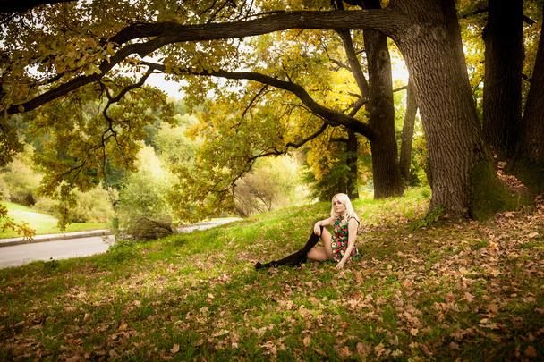 sexy žena relaxační pod starým dubem na podzim - Fotografie, Obrázek