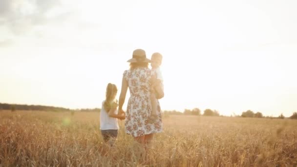 Une mère en robe d'été et un chapeau tiennent son petit fils dans ses bras et conduisent sa fille aînée par la main à travers un champ de blé. Mouvement lent - Séquence, vidéo