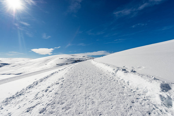 Trasy narciarskie biegowe i piesza ścieżka ze śniegiem w zimie. Altopiano della Lessinia (płaskowyż Lessinia), Regionalny Park Naturalny, w pobliżu Malga San Giorgio, ośrodek narciarski w prowincji Verona, Wenecja Euganejska, Włochy, Europa. - Zdjęcie, obraz
