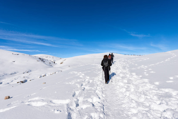 Trois randonneurs sur un sentier enneigé dans le paysage hivernal sur le plateau de Lessinia (Altopiano della Lessinia), parc naturel régional près de la station de ski Malga San Giorgio, province de Vérone, Vénétie, Italie, Europe - Photo, image