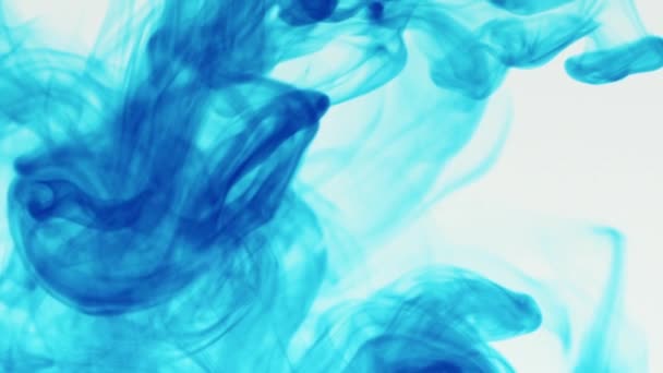 Una toma en cámara lenta de líquido azul que fluye en el agua sobre un fondo blanco. Explosión de agua de tinta de pigmento azul desde arriba fondo blanco. - Metraje, vídeo
