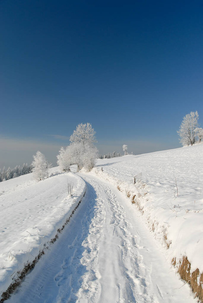 Сніжна пряма дорога в сонячний день, Горс, Польща. - Фото, зображення