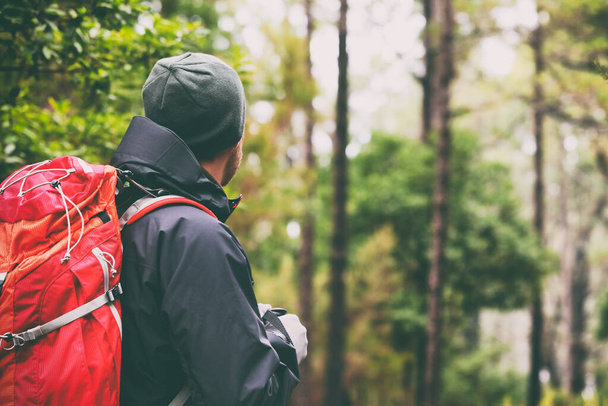 Turysta spacerujący po lesie z plecakiem - Camping na świeżym powietrzu styl życia. Trek w dziczy zima. - Zdjęcie, obraz