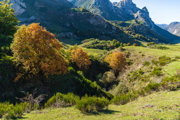 Landscape of the Somiedo natural park in Asturias. Route from Valle de Lago to Lago del Valle.  - Photo, Image