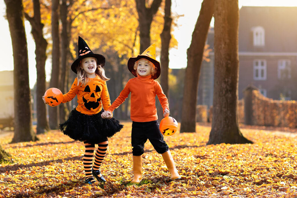 Dzieciaki bawią się w Halloween. Dzieci w czarno-pomarańczowym kostiumie czarownicy i kapeluszu bawią się dynią i pająkiem w jesiennym parku. Ubrany chłopak i dziewczyna na świeżym powietrzu. Zabawa rodzinna jesienią.  - Zdjęcie, obraz
