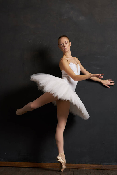 ballerina dance classic performance the dark background - Foto, Imagen