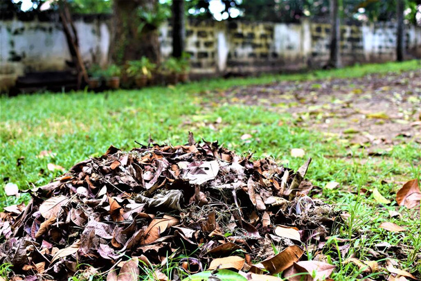 Tote Blätter stapeln sich. Ein Haufen trockenes Laub im Hinterhof. Kopierraum - Foto, Bild