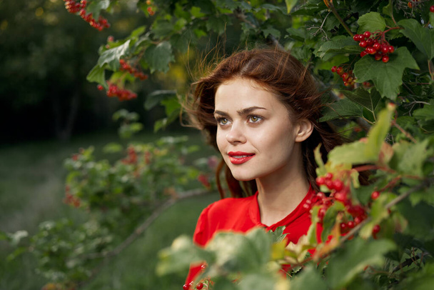 cheerful woman in a red shirt bush berries countryside - Foto, Imagen
