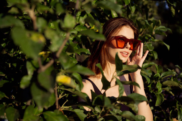 pretty woman wearing sunglasses green leaves glamor posing summer - Foto, Imagem