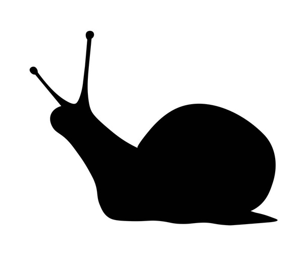 black silhouette of a snail - Vector, Image