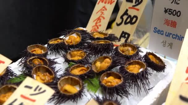 Морские ежи сашими свежие и готовые есть на льду на рыбном рынке Киото. Закрыть ларек по продаже вкусных традиционных блюд. Японские гастрономические путешествия и кулинарный магазин уличных закусок - Кадры, видео