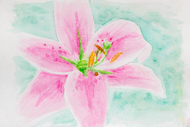 watercolor of beautiful pink lily flower - Photo, image