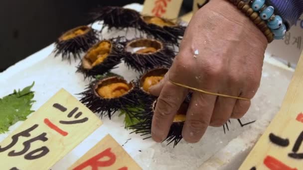 Slow motion of  famous golden egg urchin open and ready to eat on ice in Kyoto fish market. Fresh uni seafood from the Pacific ocean is a popular dish of Japan. Traditional Japanese food street. - Footage, Video