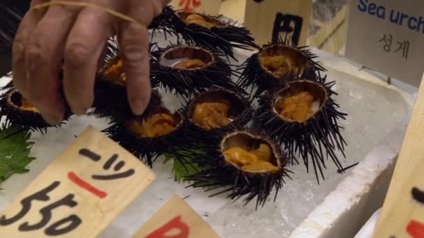 Lassú mozgás tengeri sünök sashimi friss nyitott és kész enni a jégen Kiotói halpiacon. Ízletes hagyományos japán uni tenger gyümölcsei a standon eladó. Japán élelmiszer-utazás és konyha áruház utcai snack - Felvétel, videó