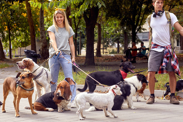 Young dog walkers walking dogs together in the park - Φωτογραφία, εικόνα
