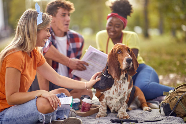 A group of students and the dog are sitting on the grass on a beautiful day in the park. Friendship, rest, pets, picnic - Valokuva, kuva
