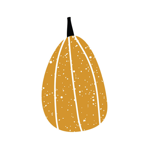 Autumn pumpkin. Orange pumpkin with a grunge effect. Vector illustration isolated on a white background for design and web. - Vecteur, image