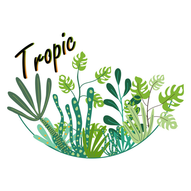 The tropics. Tropical plants and an inscription. Design composition. Vector illustration isolated on a white background for design and web. - Vektor, obrázek