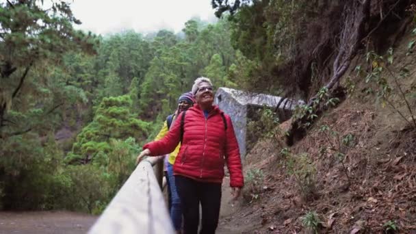 Groupe de femmes d'âges et d'ethnies différents qui s'amusent à marcher dans la forêt brumeuse - Concept Aventure et voyages - Séquence, vidéo