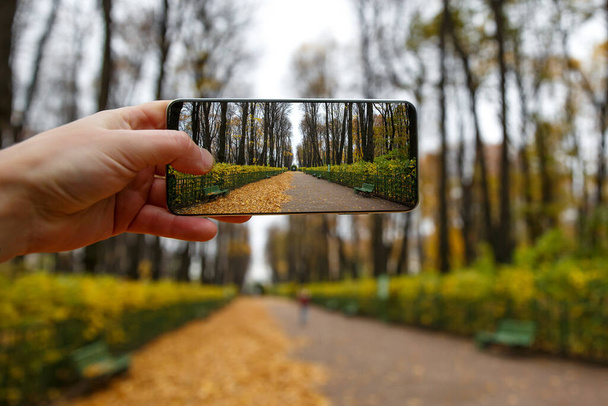 Tomar fotos a través de un smartphone sin marco en el parque de otoño. - Foto, Imagen