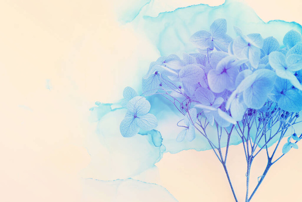 Creative image of blue Hydrangea flowers on artistic ink background. Top view with copy space - Fotografie, Obrázek
