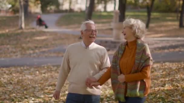 vanhempi pari rakastunut viettää aikaa tasalla syksyllä puistossa - Materiaali, video