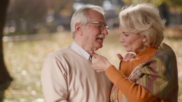pareja de ancianos enamorados pasar tiempo en la fecha en el parque de otoño - Metraje, vídeo