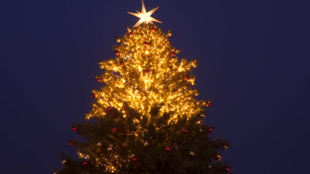 Arbre de Noël sur fond de ciel nocturne. Éclairage arbre de Noël - Séquence, vidéo