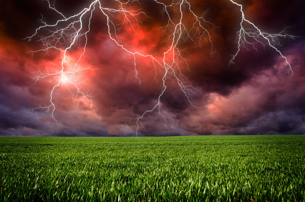 緑の草原の雷と雷雨 - 写真・画像