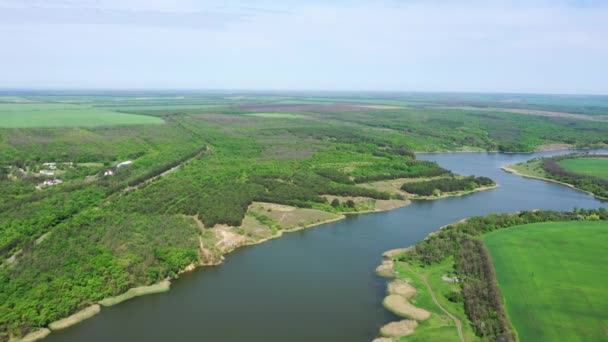 Vista aérea. Campos agrícolas y bosques en las orillas del estanque en primavera - Metraje, vídeo